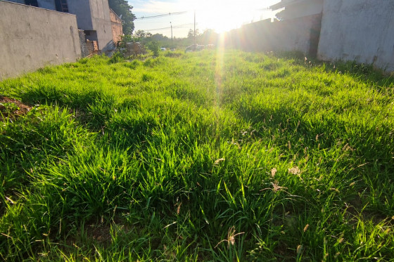 Terreno à venda - 175m² - JARDIM NOVA AMÉRICA, Umuarama-PR