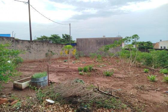 Terreno à venda - 269.69m² - JARDIM NOVO MILÊNIO, Umuarama-PR